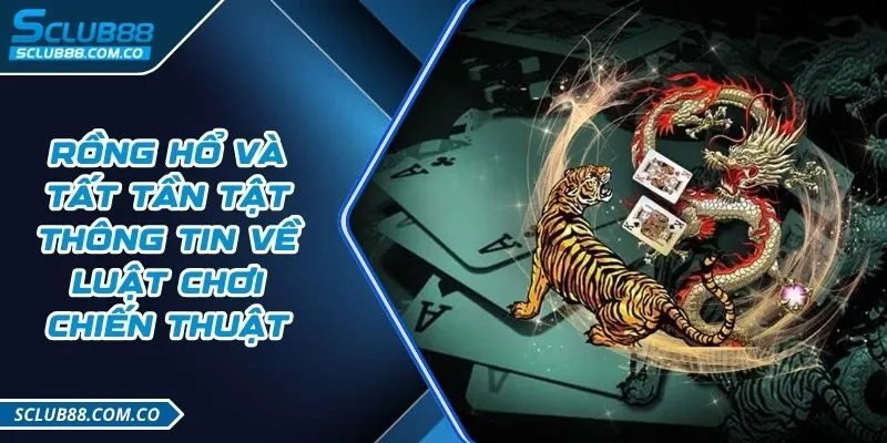 Đặc điểm chính của Jun 88 - Jun 88
