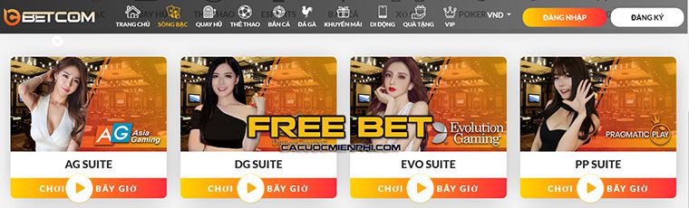Cần đáp ứng những điều kiện gì để trở thành nhà phân phối Win789? - Win789