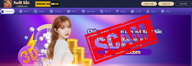 Trang web chính thức của các trò chơi 7Ball ở đâu? - 7Ball