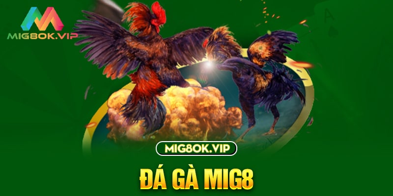 Các đại lý thuộc mạng lưới Bigboss kiếm tiền thông qua chương trình phân phối - Bigboss