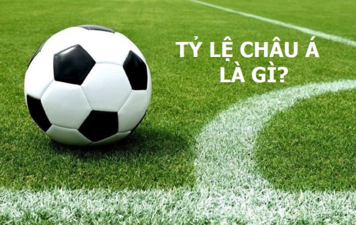 Công ty trò chơi thể thao 9Dbet - 9Dbet