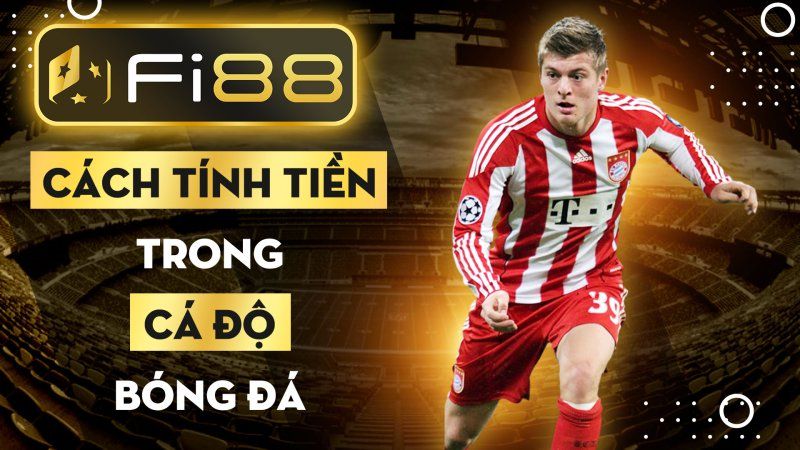 Gói bảo hiểm vốn Stake - Stake
