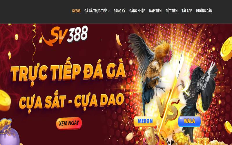 Hiện có những hình thức cá cược nào dành cho các trận đấu đá gà cấp độ Sb365? - Sb365