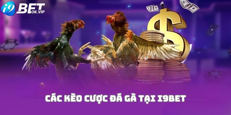 V7sb chỉ đăng ký tài khoản V7sb - V7sb